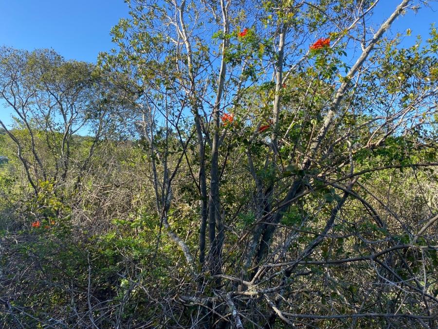 0 Bedroom Property for Sale in Bathurst Eastern Cape